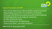 Grüne Themen in der BVV am 19.11.2020