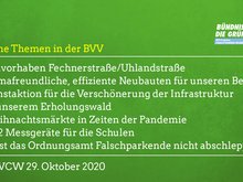 Grüne Themen in der BVV am 29.10.2020