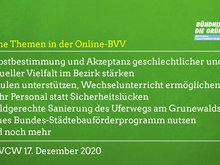Grüne Themen in der ersten Online-BVV