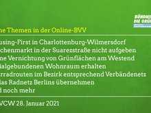 Grüne Themen in der Online-BVV am 28.1.21