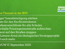 Grüne Themen in der BVV am 17.9.2020